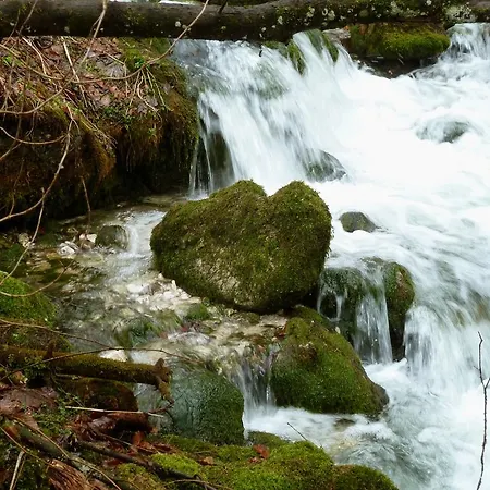 Apartamento Haus Salzberg *