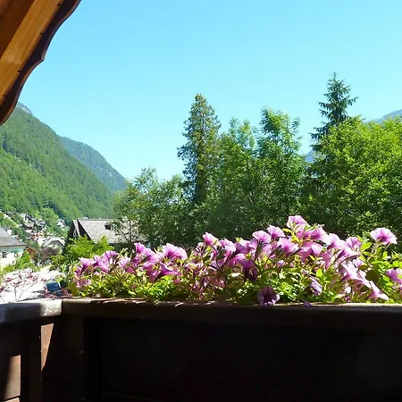 Haus Salzberg Hallstatt